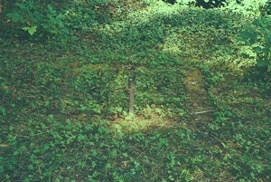 the well in the park